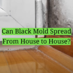 Can Black Mold Spread From House to House?