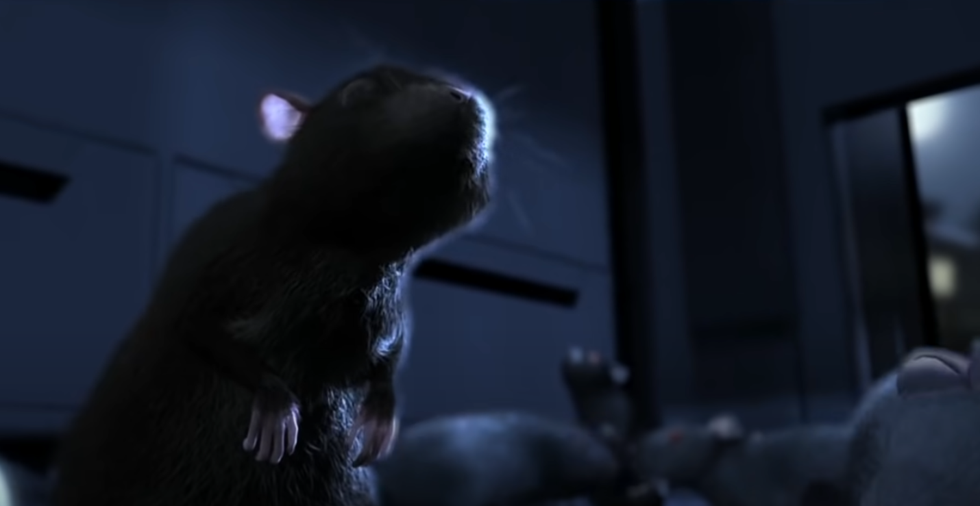 Why Do Mice Come Into the House in Summer? HomeProfy