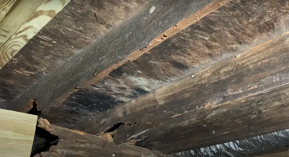 Damage appearing on the floor beams