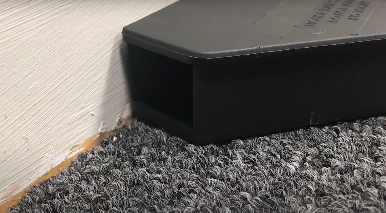How to Find Where Mice Are Coming Into House? HomeProfy