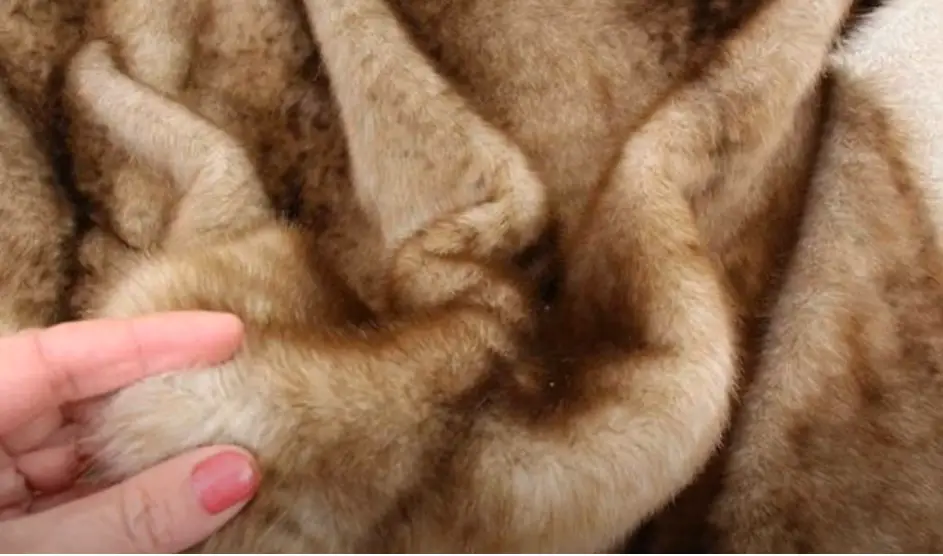 Tips on How to Store a Fur Coat at Home
