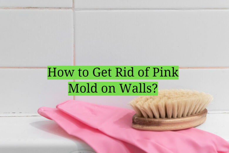 How to Get Rid of Pink Mold on Walls? HomeProfy