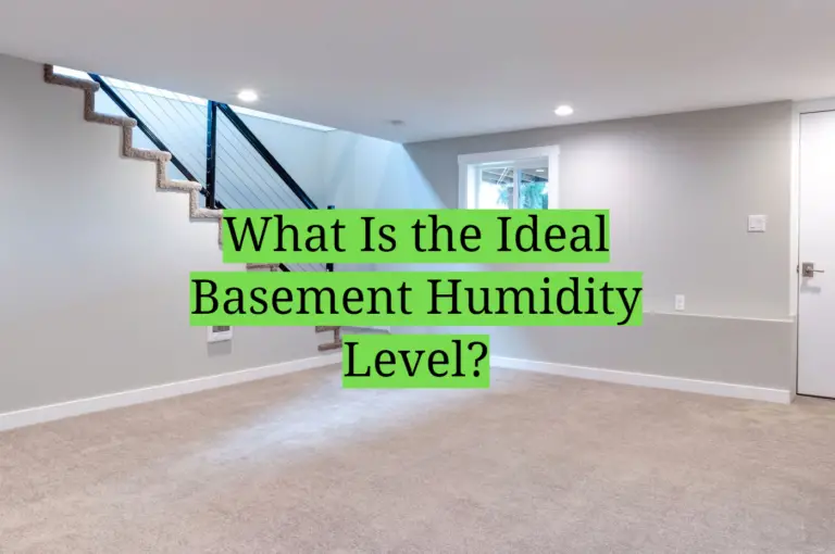 What Is the Ideal Basement Humidity Level? HomeProfy