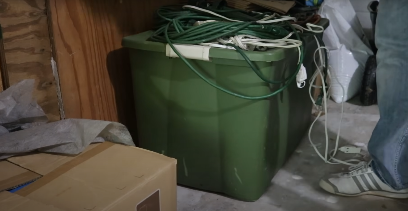 How Do Mice Get In Your House? HomeProfy