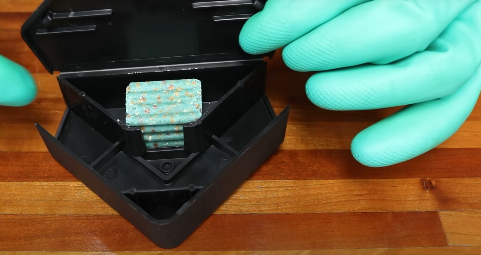 How Do Mice Get In Your House? HomeProfy