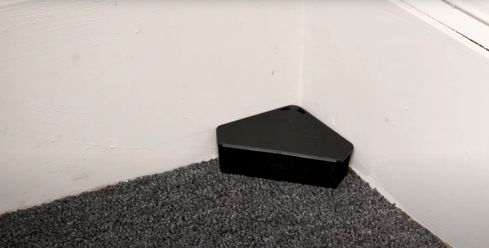 How Do Mice Get In Your House? HomeProfy