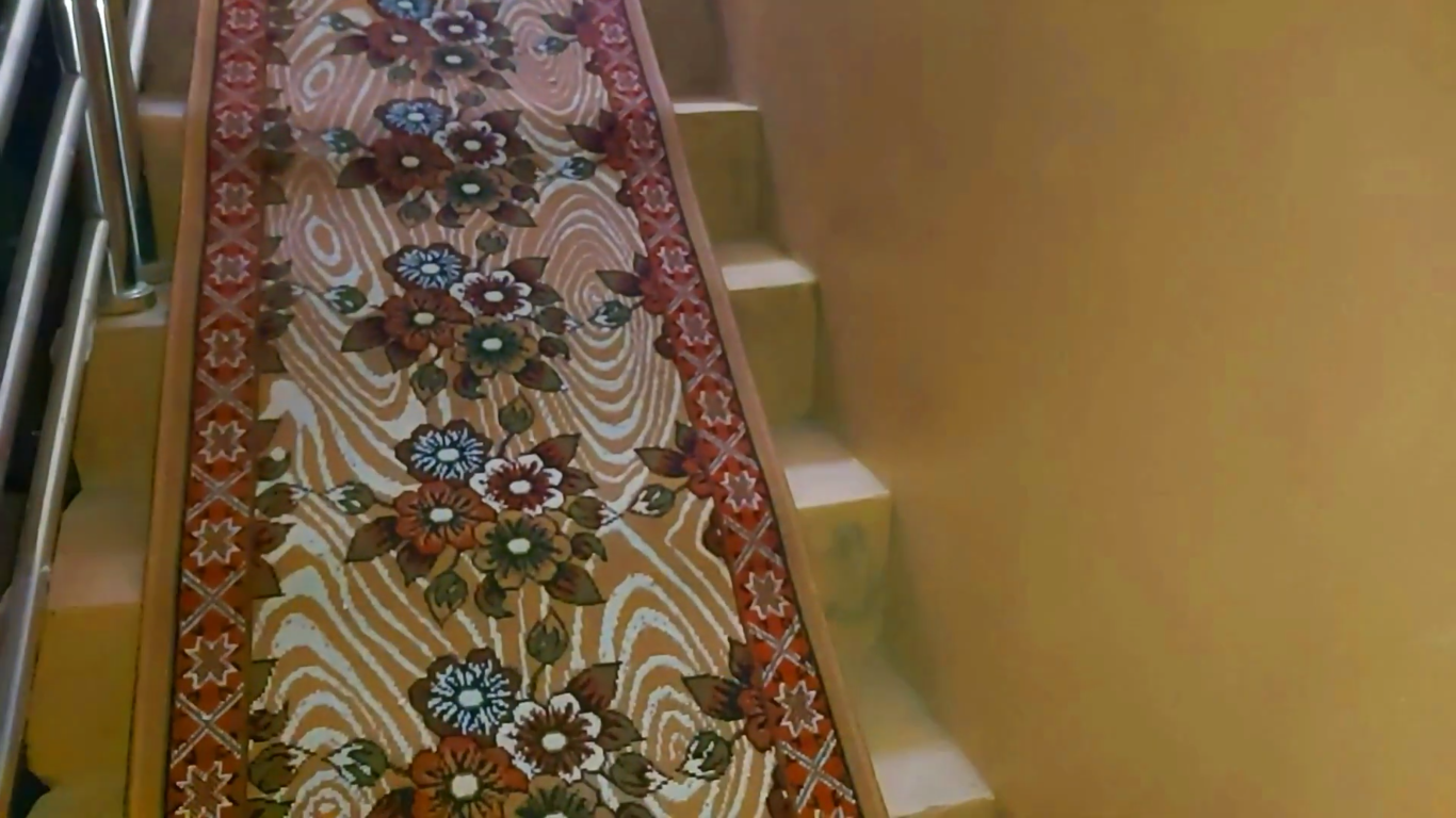 How to Protect Carpeted Stairs? HomeProfy