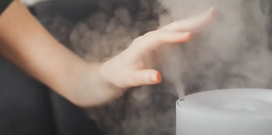 Can a Cool Mist Humidifier Make You Sick