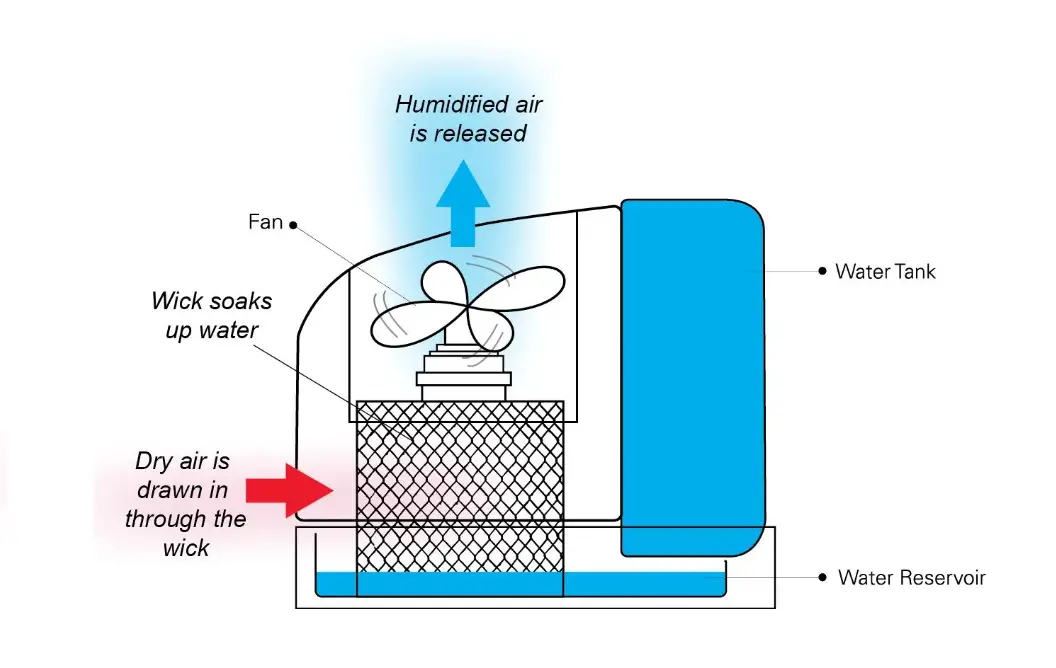 How does the Humidifier work