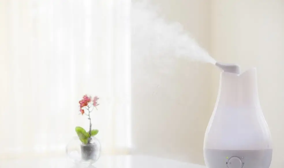 Resetting Your Humidifier