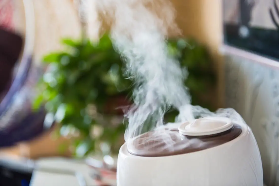 What Do Humidifiers Do 5 Uses and Benefits