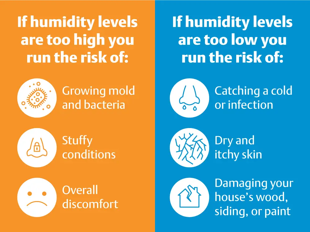 Why Is the Humidity Level in Your Home Important