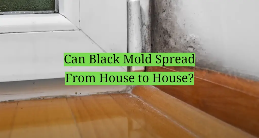Can Black Mold Spread From House to House? HomeProfy
