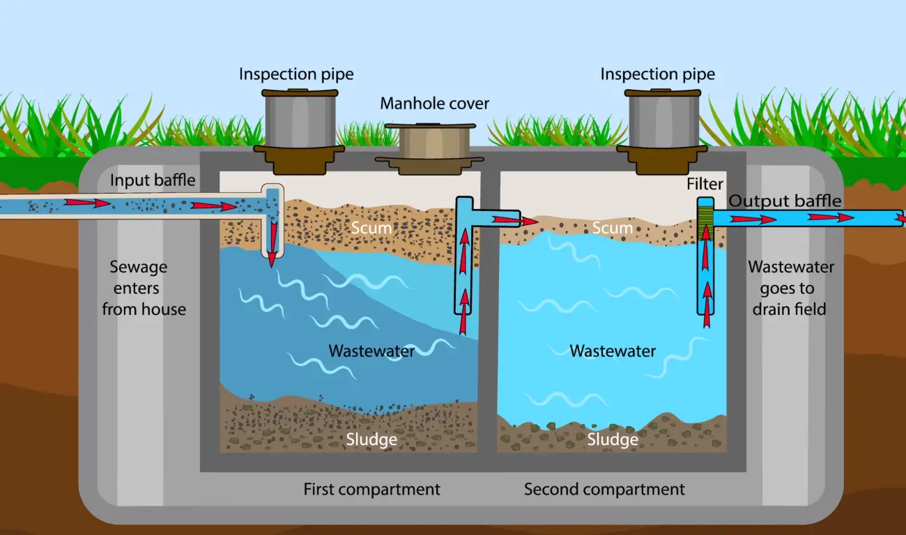 How Far Can a Septic Tank Be From the House? HomeProfy