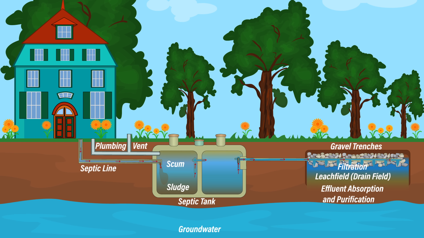 How Far Can a Septic Tank Be From the House? - HomeProfy