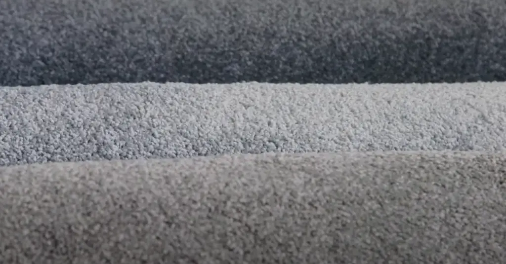 Is It Possible to Match a Beige Carpet with Gray Walls?