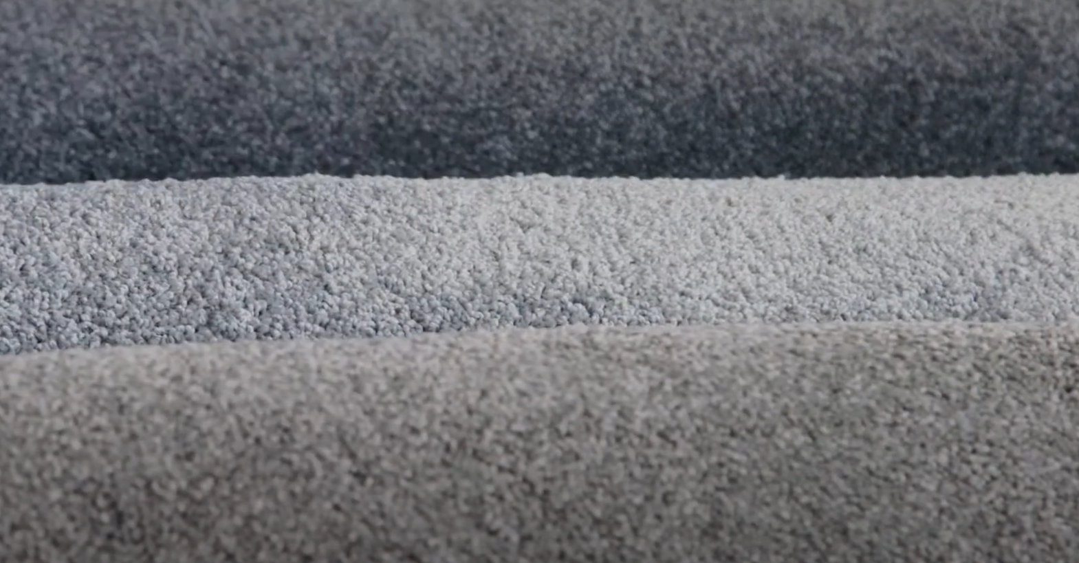 What Color of Carpet Goes With Gray Walls? HomeProfy