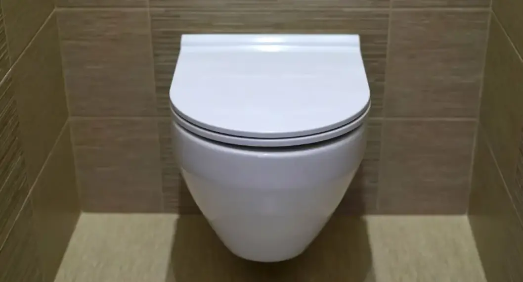Drawbacks Of Tankless Toilets