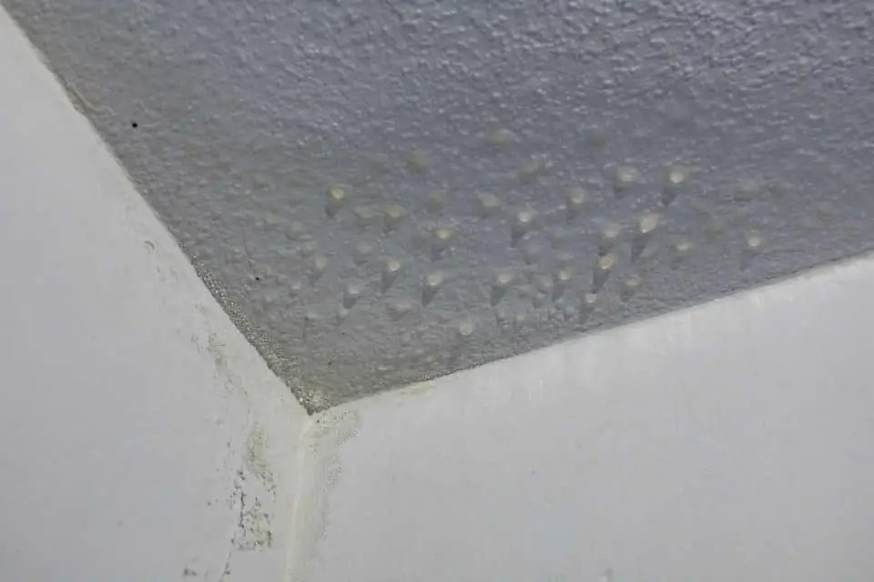 What Is Ceiling Condensation