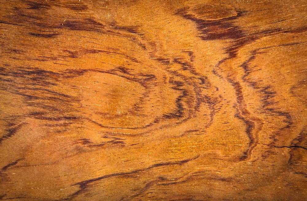 What Is Tigerwood