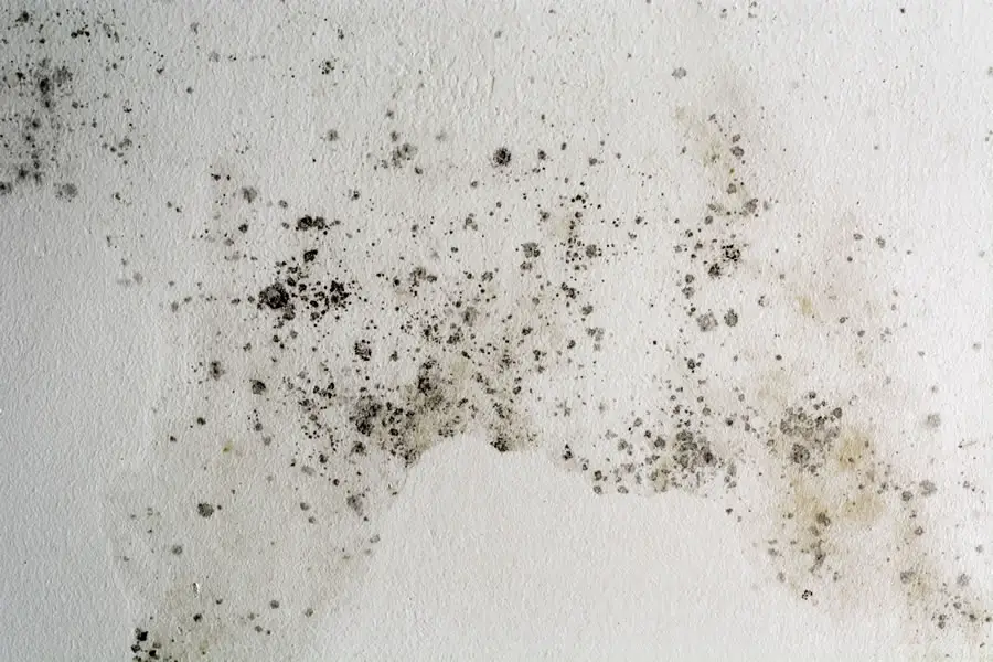 How to get rid of condensation damp in the bedroom
