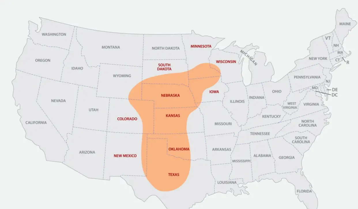 Which states have no basements