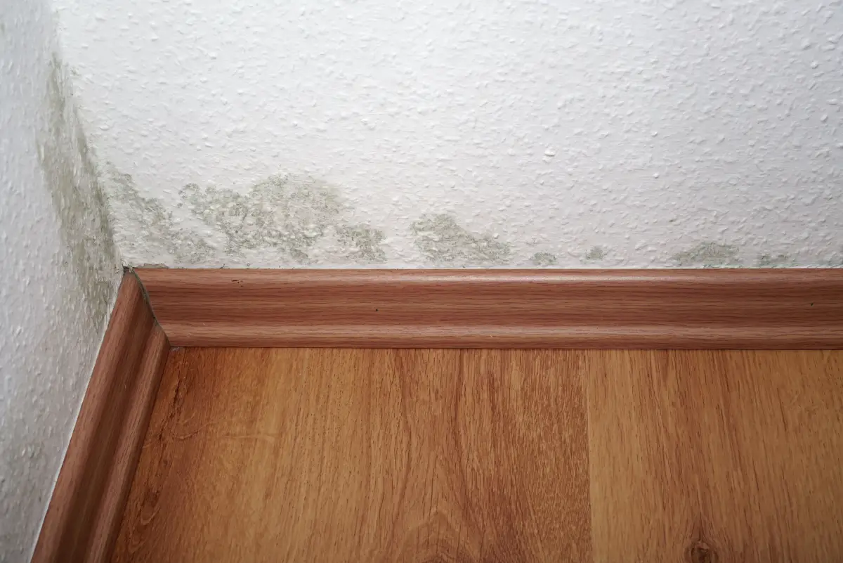 Why is there dampness in your bedroom