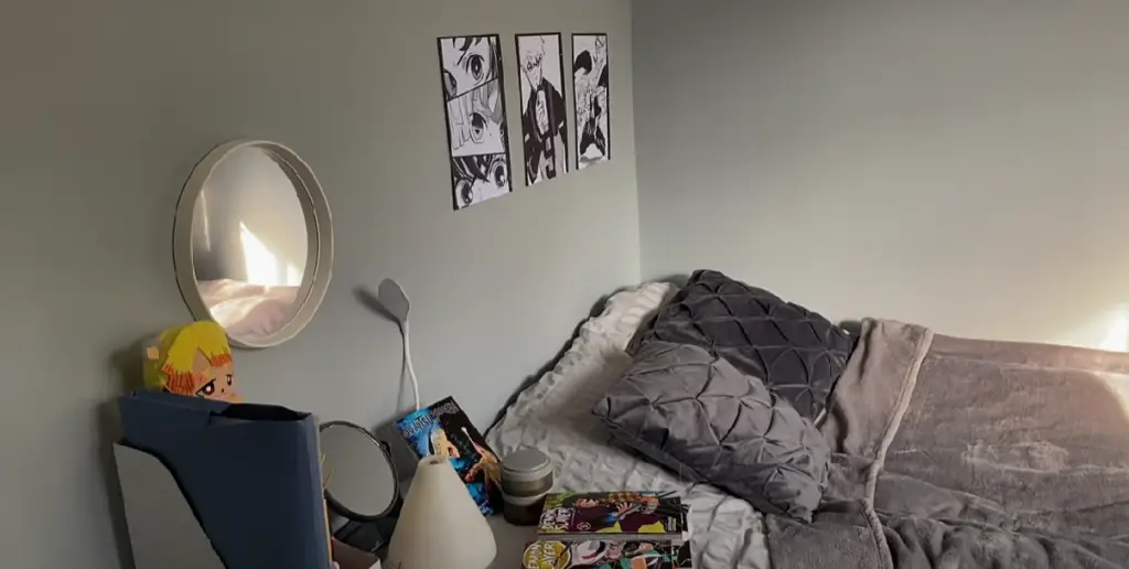 Anime Room Shelf Inspiration