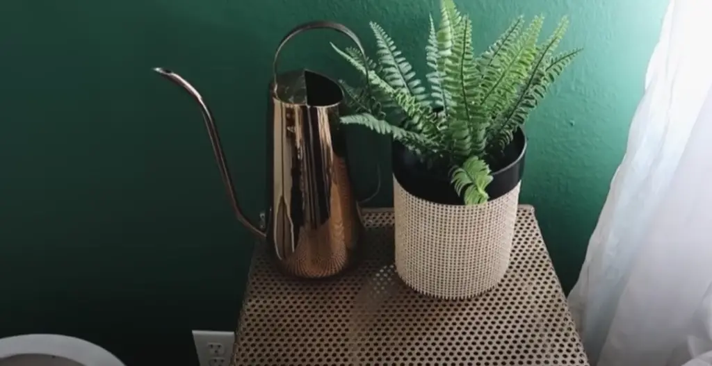 Dark Green Decoration for Bedroom using Vases/Planters