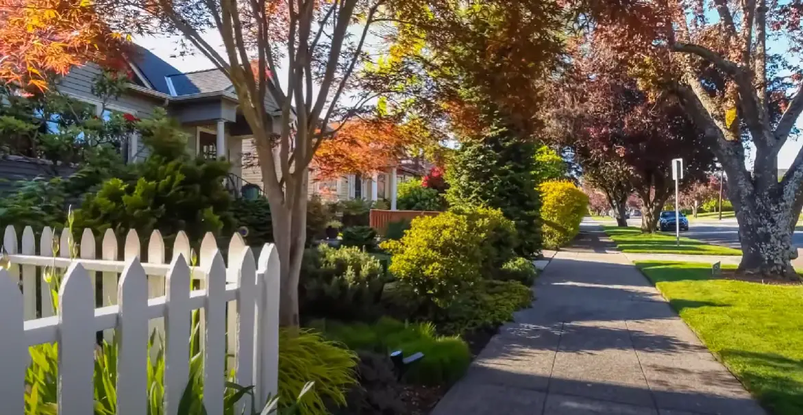 Can My Neighbor Lean Things on My Fence? HomeProfy