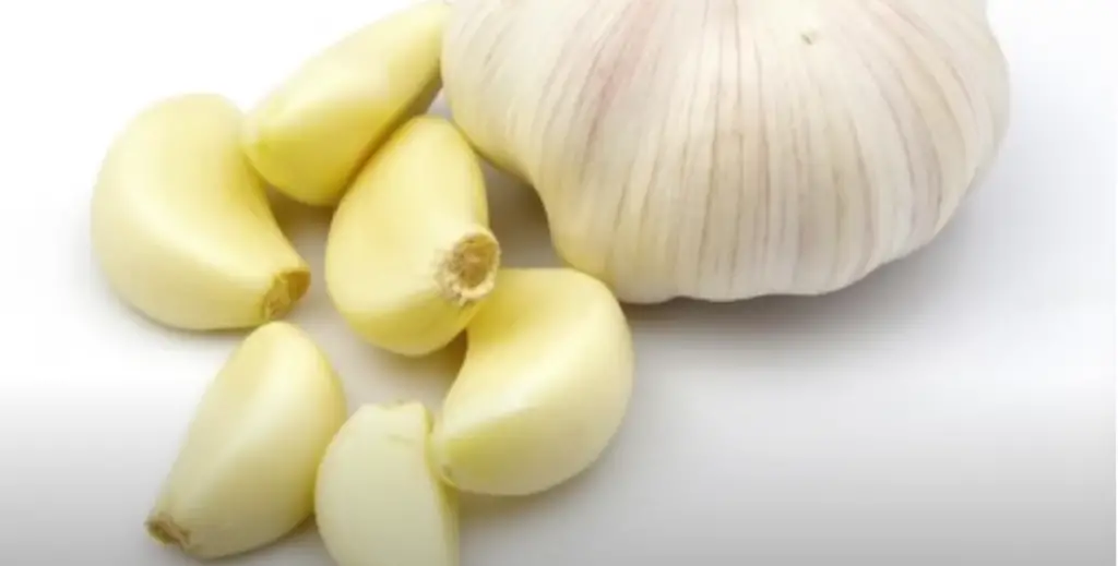 Why does my whole house smell like garlic?