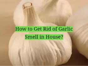 How to Get Rid of Garlic Smell in House?