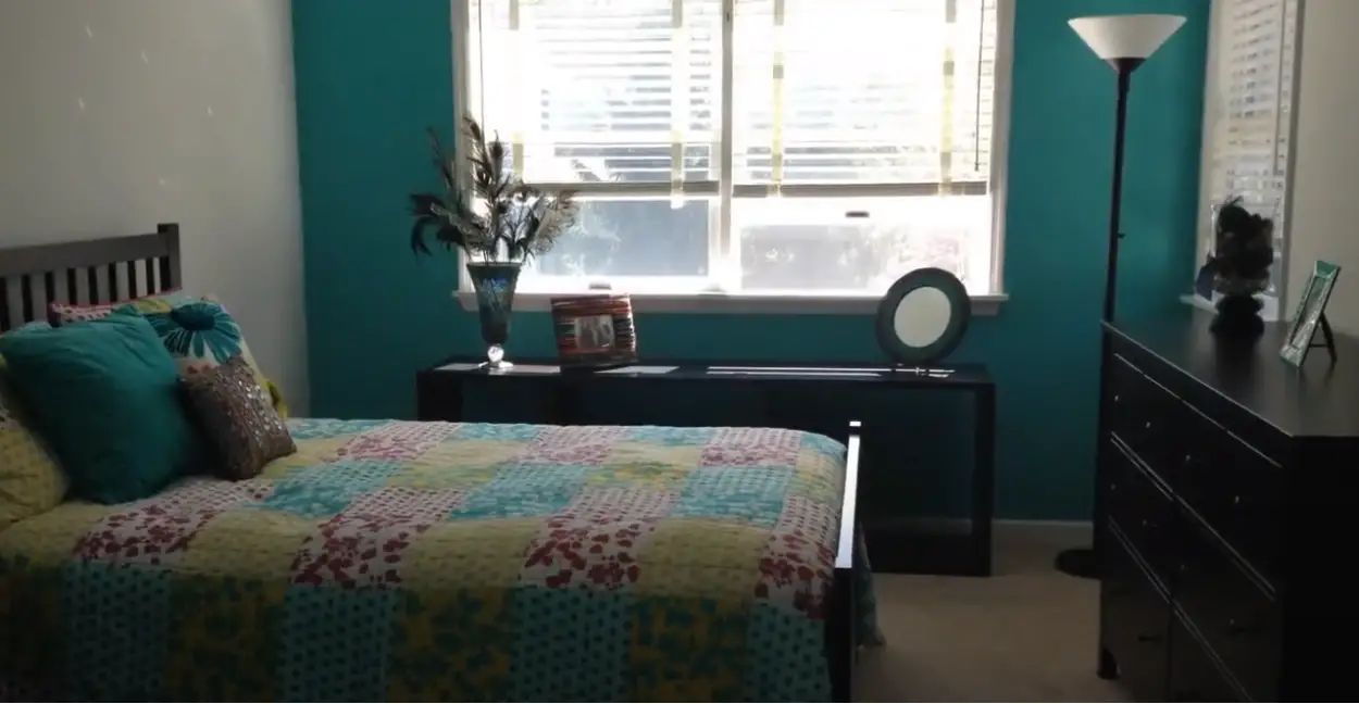 Black And Teal Bedroom Ideas
